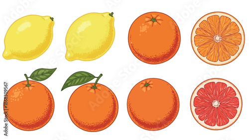 A colorful assortment of citrus fruits including lemons oranges and grapefruit