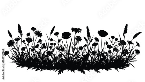 A striking black silhouette of wildflowers and grasses against a white background