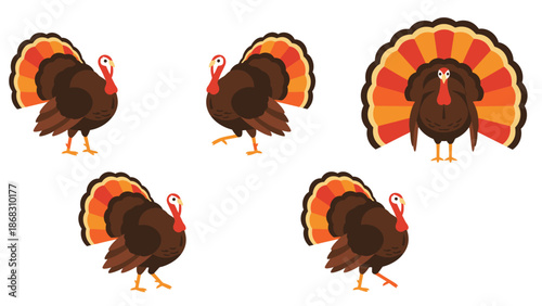 set of chicken vector illustration