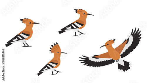 vector illustration of a exotic bird