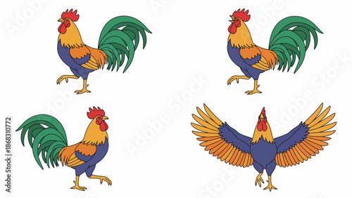 rooster and cock vector set