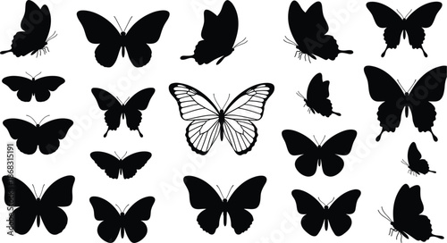 Collection of Black Butterfly Silhouettes in Various Poses on White Background insect