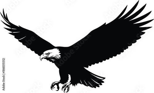 Bald eagle silhouette flying with spread wings, powerful predatory bird of prey, dramatic black wildlife vector illustration isolated on white background
