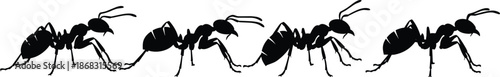 Ant silhouettes, black insect vector illustration, walking ants in line, wildlife pest icons, nature design elements, isolated ant artwork for creative projects