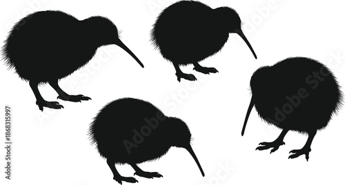 Black kiwi bird silhouette collection, flightless New Zealand wildlife animals in different poses, minimalist avian shapes, isolated vector illustration for nature design