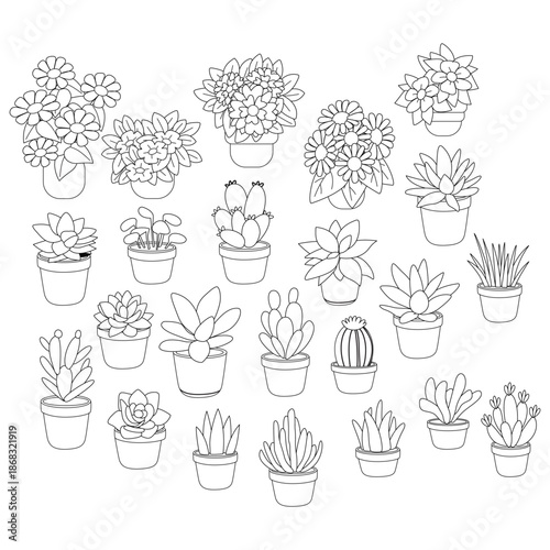 Black and white line art drawing set of potted plants or succulent for coloring page. Ideal for coloring books, kids activities, relaxation art, plant lovers, stickers, printable worksheets, DIY