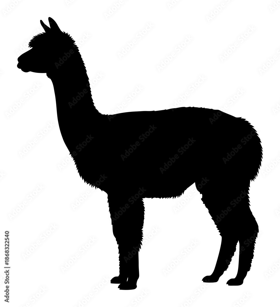 Obraz premium Alpaca Silhouette - Minimalist Vector Illustration