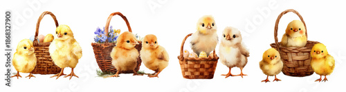 Cute Easter set with chicks, decorated eggs and wicker baskets. Watercolor cartoon chicks in baskets. Easter elements. Vector illustration.