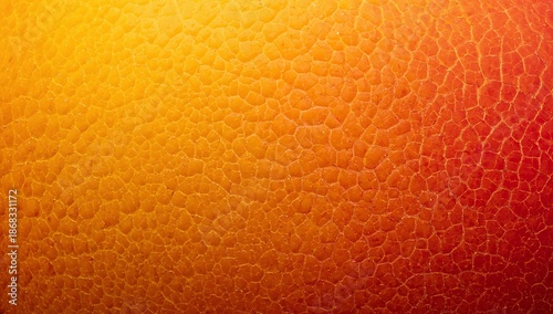 4K Mango Skin Macro Texture 