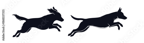 Two dogs running silhouettes