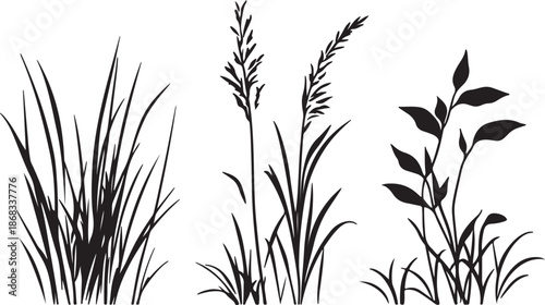 Vector illustration of a black grass silhouette and bamboo leaf pattern isolated on white background for nature growth design
