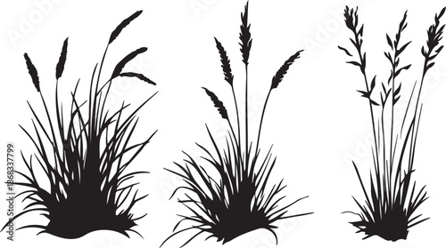 Black grass silhouette vector illustration featuring nature leaves and floral plant stems isolated on a white background for summer art decoration