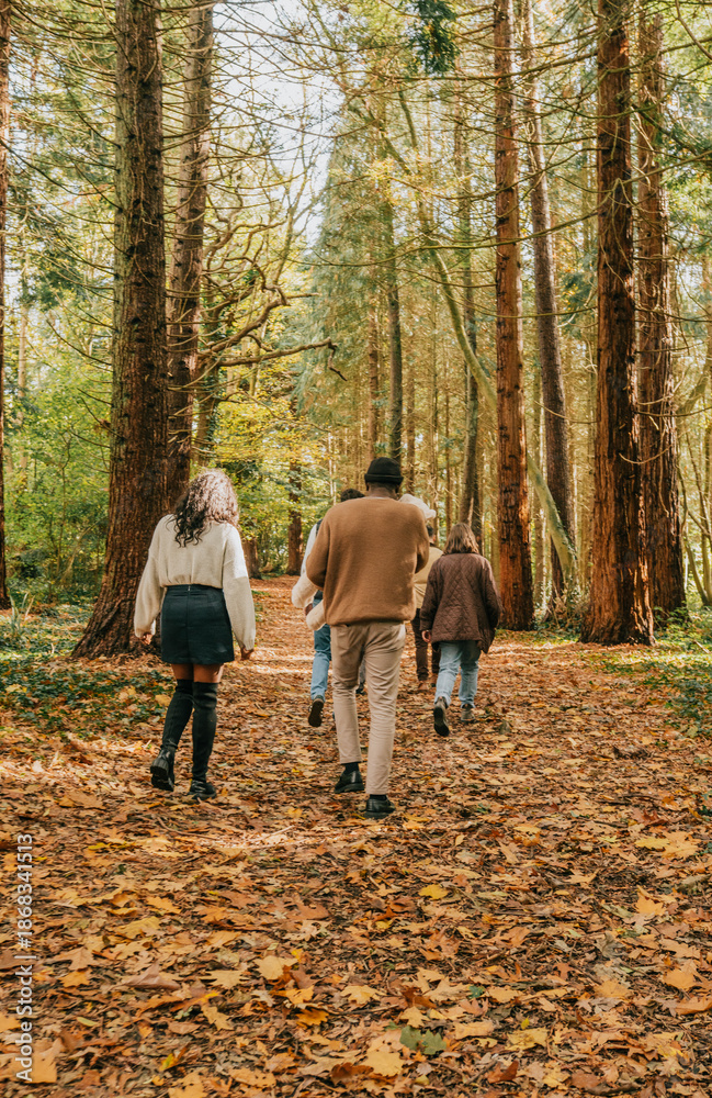Fototapeta premium A group of people are walking through a forest, with some wearing hats. Scene is peaceful and serene, as the group enjoys their time together in nature
