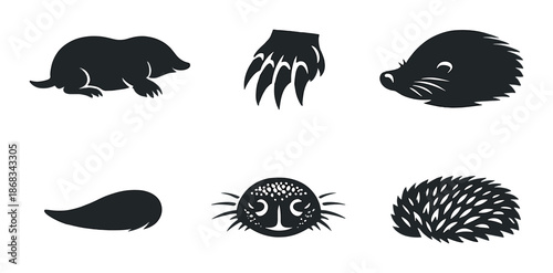 Black animal silhouettes set on dark background