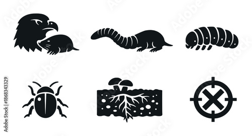 Silhouettes of various insects and animals on dark background