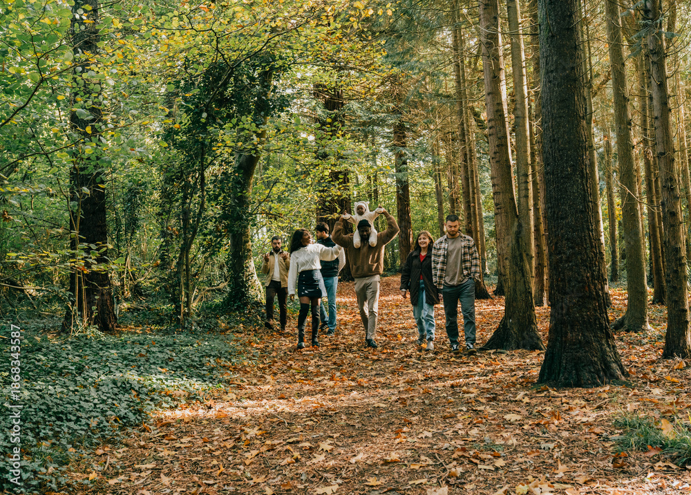 Fototapeta premium A group of people are walking through a forest, enjoying the peaceful and serene atmosphere. They are all smiling and seem to be having a good time. The trees are tall and green