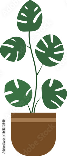 Vector illustration of potted plants for decoration.