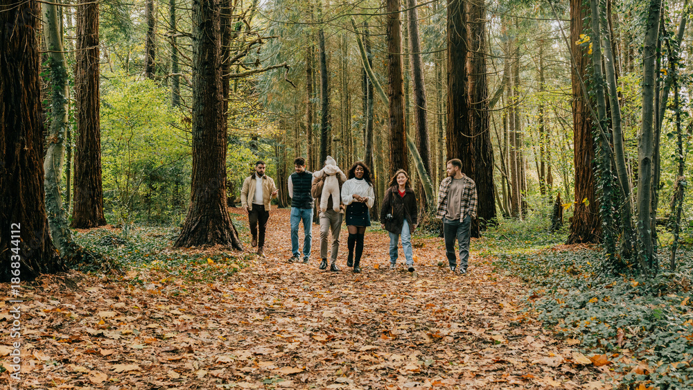 Fototapeta premium A group of five people are walking through a forest, surrounded by trees and leaves. The atmosphere is calm and tranquil, as they enjoy the beauty of nature. The group consists of a mix of ages