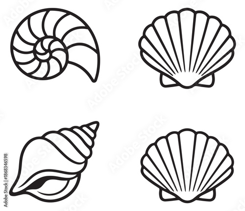 Hand drawn line art seashell set featuring spiral and bivalve shells for summer design