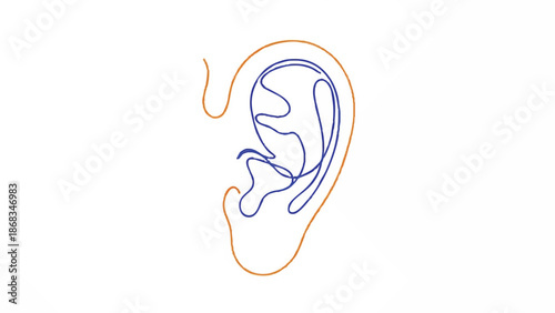 Minimalist Line Art of Human Ear Anatomy.