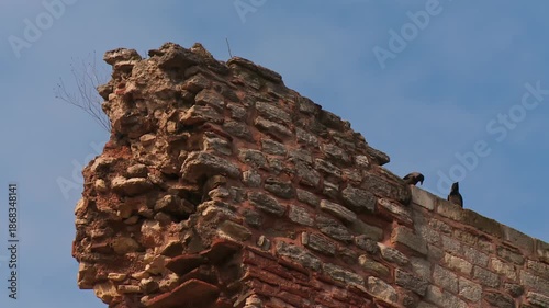 Two Crows Standing on a Partially Ruined Stone Wall