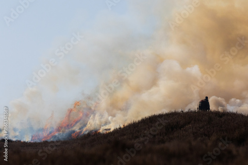 Man using a Drip Torch for controlled burning of Heather on moorland in County Durham, England, UK.