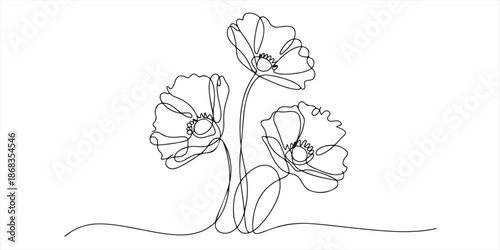 Poppy flowers in continuous line art drawing style. Doodle floral border with two flowers blooming among grass. Minimalist black linear design isolated on white background. Vector illustration