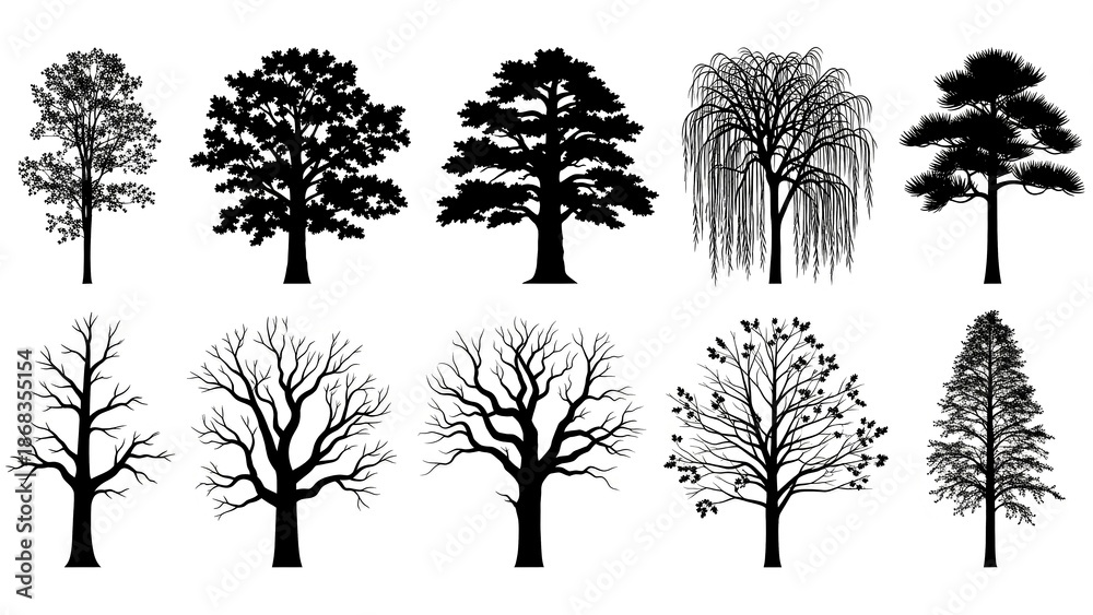 Fototapeta premium Assorted Tree Silhouette Gallery Ten Unique Tree Silhouete Illustrations for Digital Art.jpg