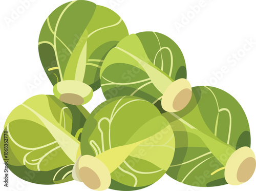 Fresh brussels sprouts pile simple graphic illustration organic vegetable food healthy eating