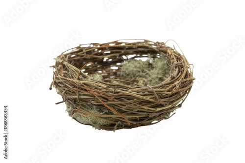 Woven bird nest filled with moss