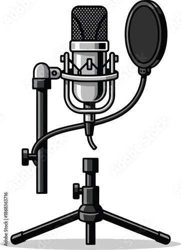 Professional studio condenser microphone equipment.