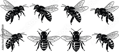 Bee silhouette, insect vector, black icon, wing pattern, top view, side profile, graphic, illustration, nature, biology, pollinator, bugBee silhouette, insect vector, black icon, wing pattern 