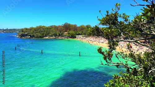 Shark Beach Nelson Park Beach in Sydney Eastern Suburbs on Sydney harbour with turquoise Blue waters white sandy Beach on a warm summer day blue skies Sydney NSW Australia
