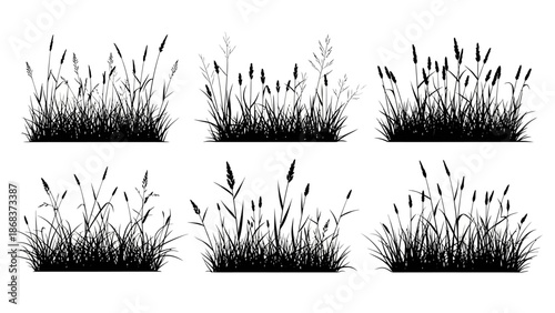 Set of six minimalist black silhouettes of various grass and plant arrangements on white background