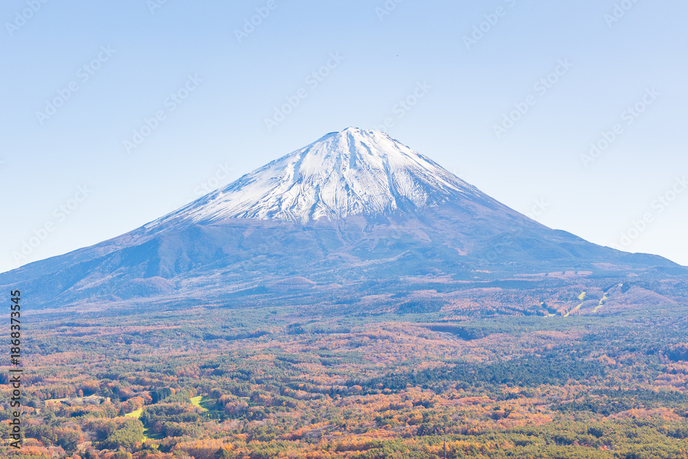 Fototapeta premium 日本の風景・秋 山梨県鳴沢村 紅葉の紅葉台から富士山を望む