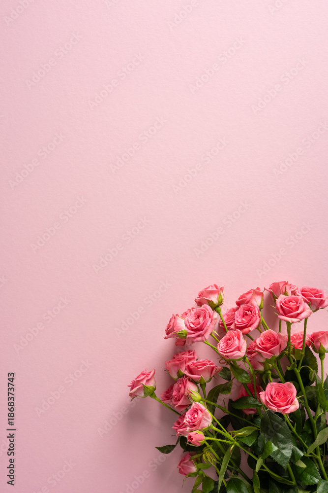 Obraz premium Soft vertical pink backdrop highlights a bouquet of pink roses, ideal for Valentine greetings and romantic decor. Evokes love, warmth, tenderness, and celebration
