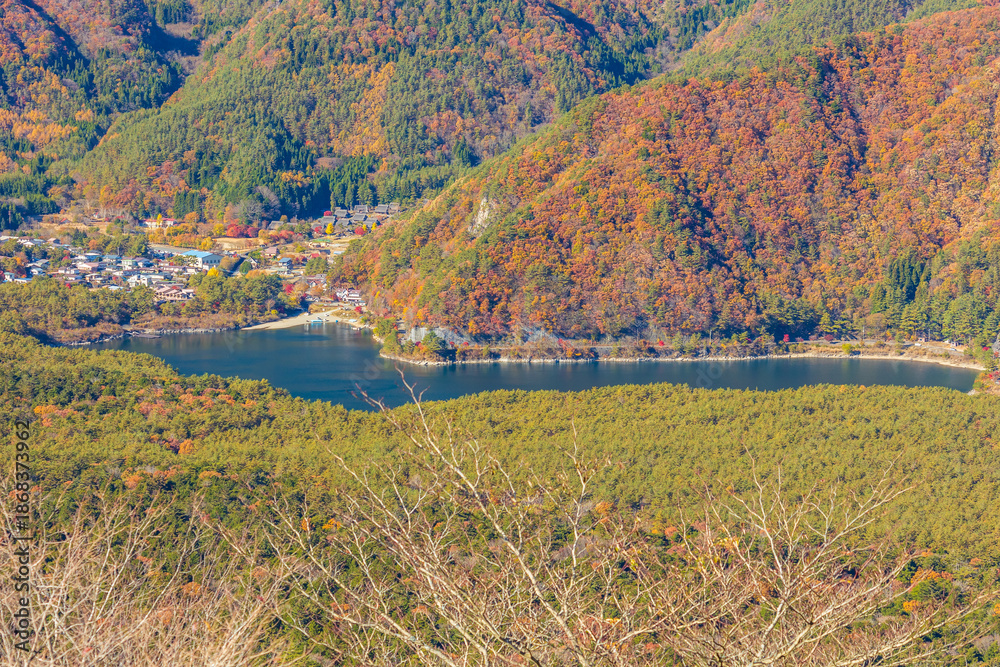 Fototapeta premium 日本の風景・秋 山梨県鳴沢村 紅葉の紅葉台から西湖を望む