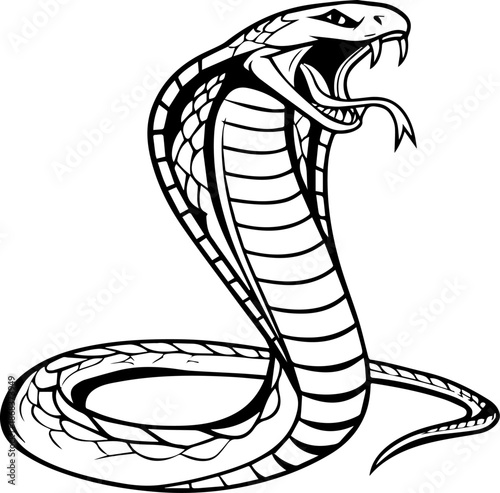 Cobra Snake Black and White Vector Illustration