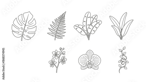 Line Art Botanical Illustration Set Featuring Monstera Leaf Fern and Orchid Outline Drawings for