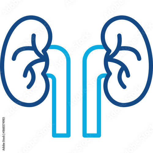 Nephrology line color icon