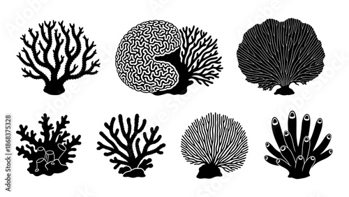 Diverse Black Coral Reef Illustrations Displaying Various Marine Coral Species