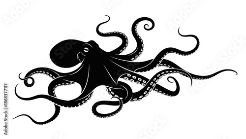 Silhouette of a Detailed Octopus Illustration Showing Tentacles and Body in Black and White