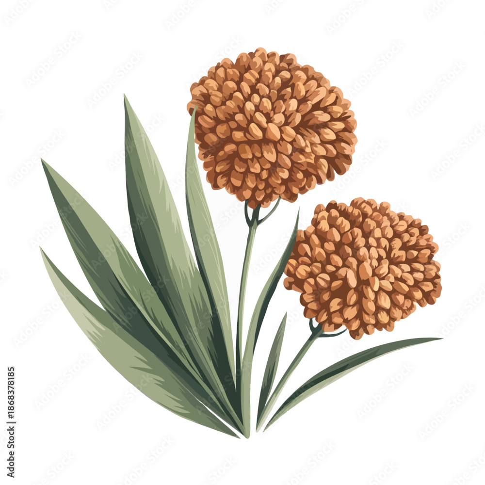 custom made wallpaper toronto digitalBrown flower with green leaves isolated on white background, Vector, illustration