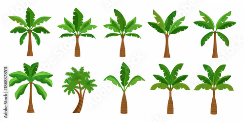 A collection of colorful cartoon palm trees on a white background