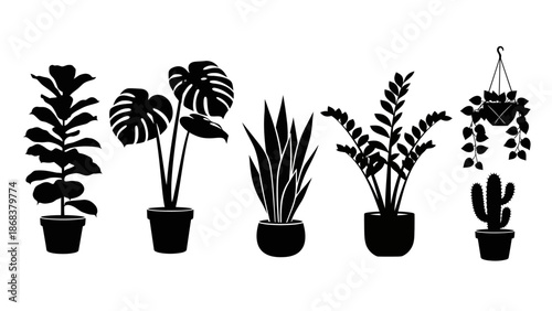 Silhouette of various potted indoor plants and a hanging cactus decor for home interior design