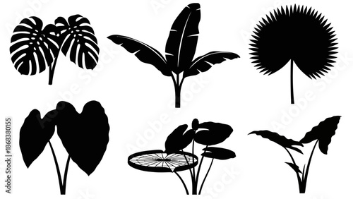 Collection of diverse tropical and aquatic plant silhouettes in black