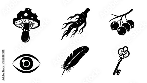 Minimalist Black and White Icons of Mushrooms Worms Berries Eye Feather and Key for Design Projects