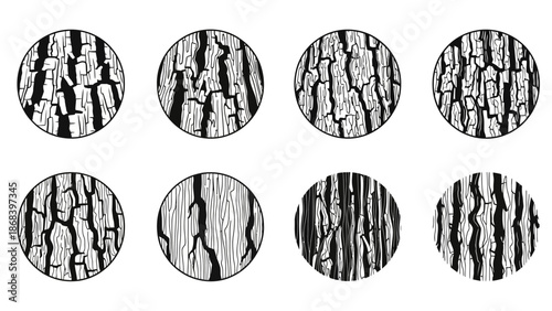 Set of tree bark textures diverse graphic styles in circular frames