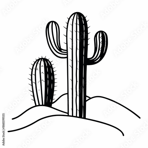 Desert cacti in arid landscape