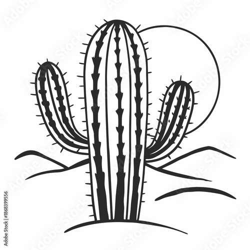 Desert cactus under moonlight